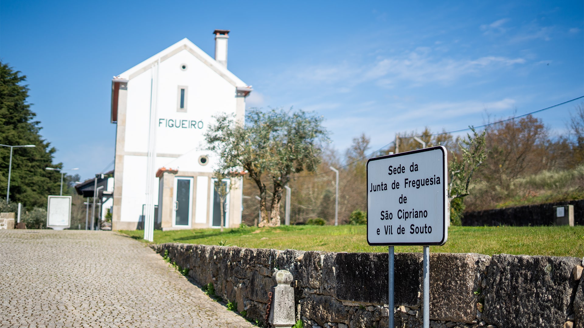 canelasArtboard 1-min