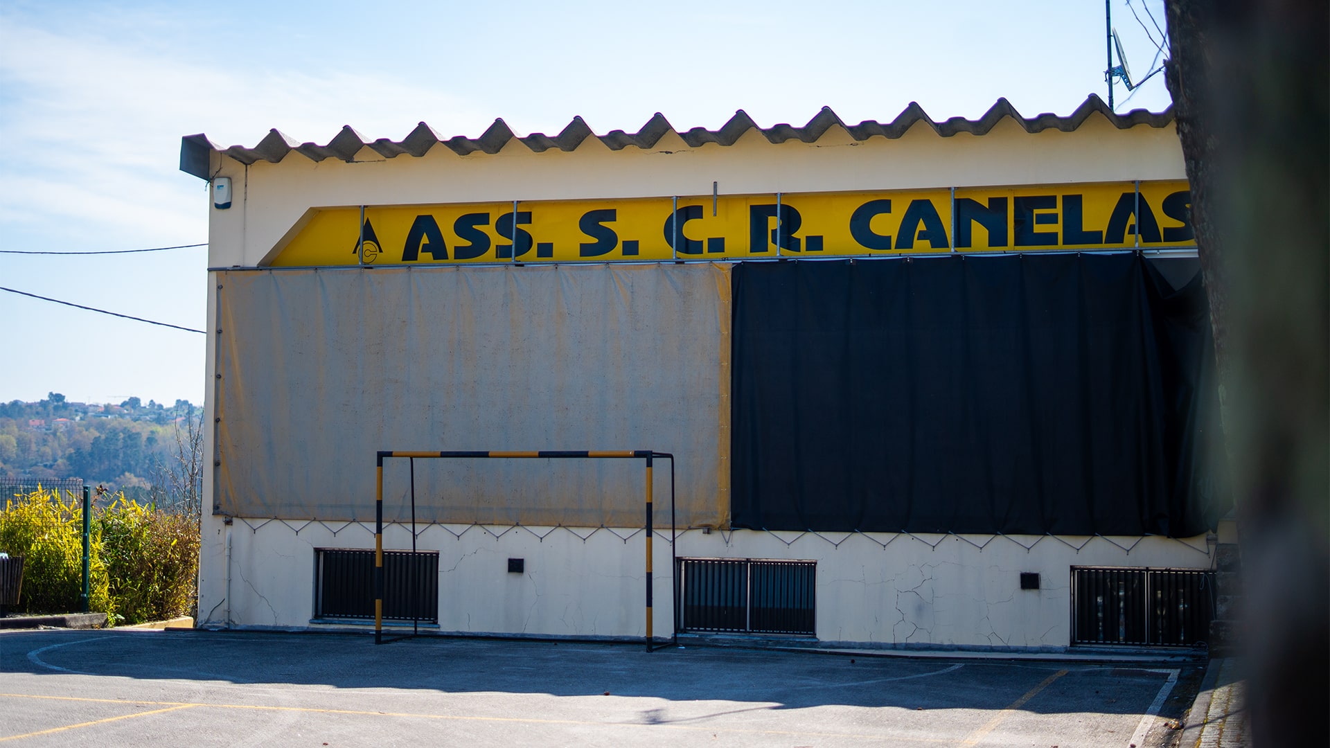 canelasArtboard 2 copy 3-min