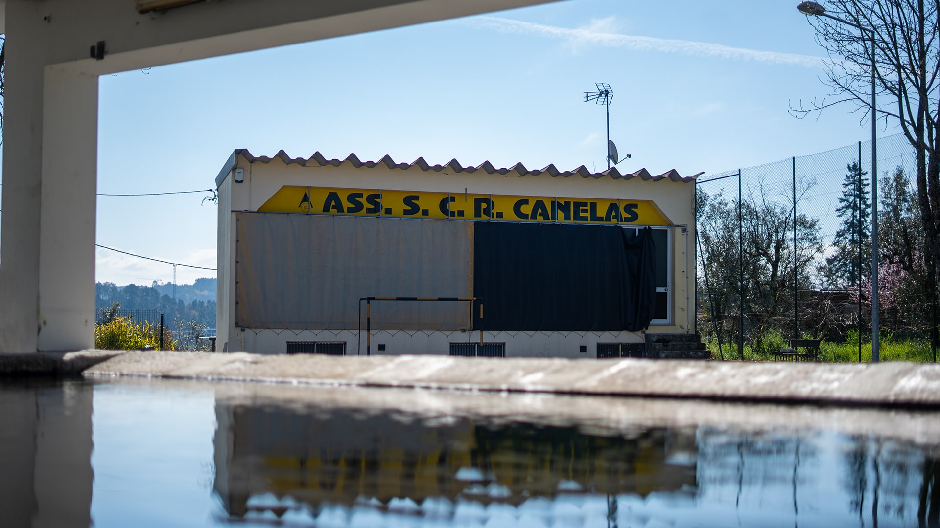 canelasArtboard 2 copy 7-min