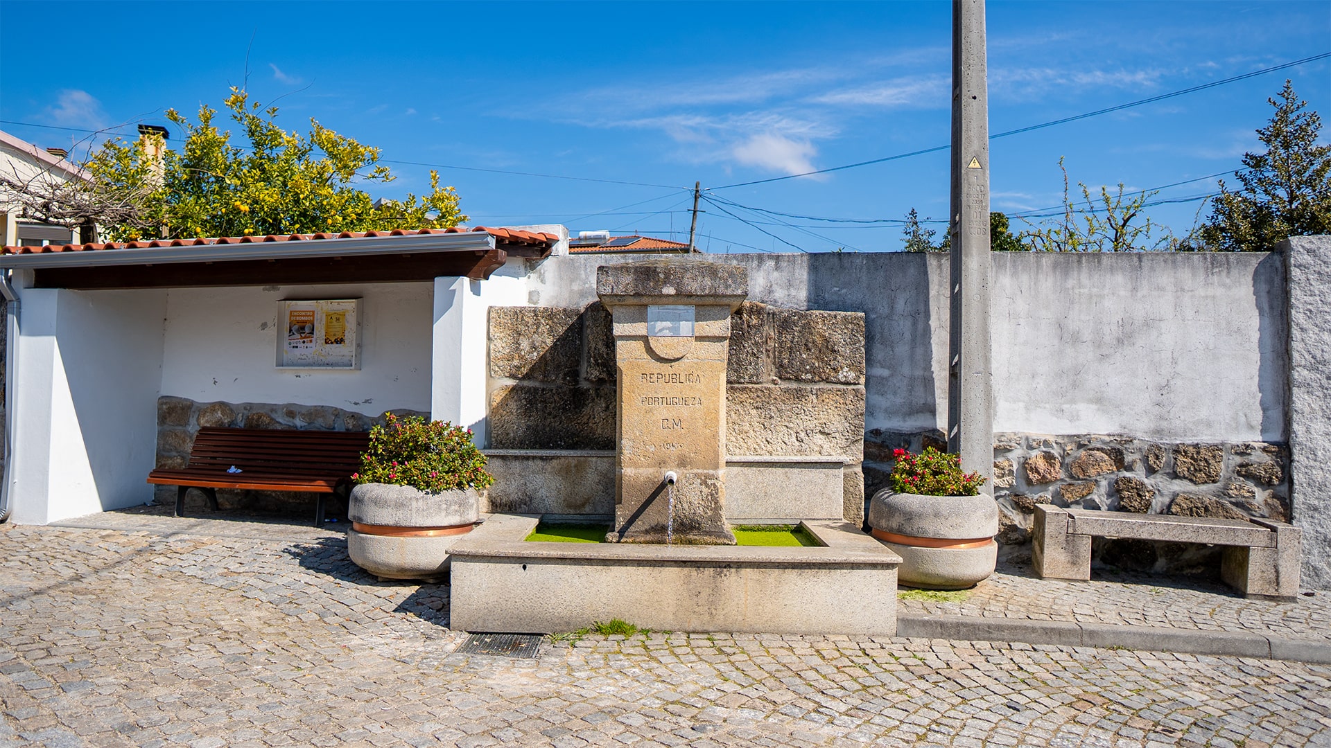 canelasArtboard 2 copy 8-min