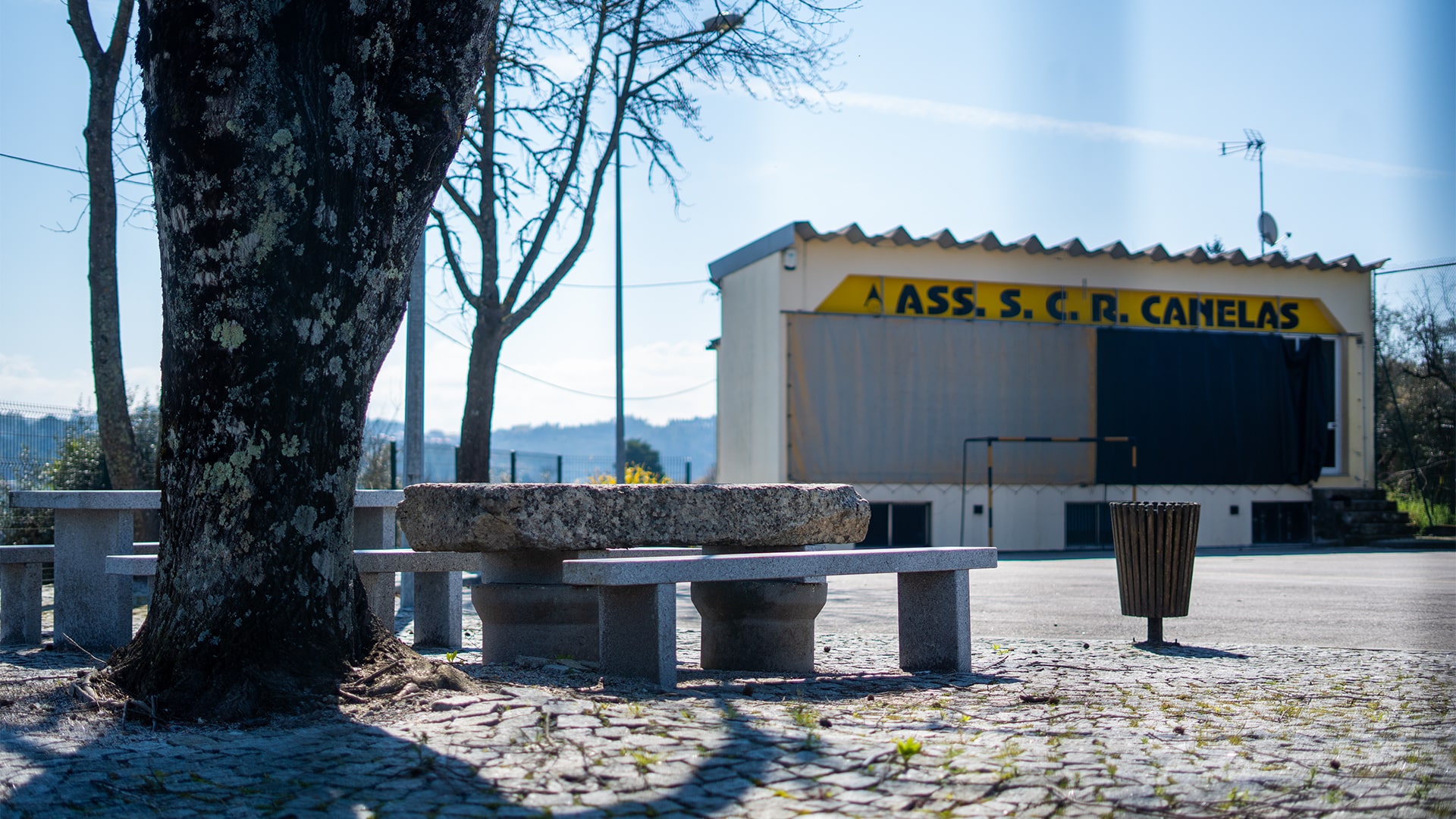 canelasArtboard 2 copy-min